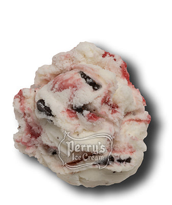 raspberry truffle frozen yogurt